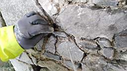 acastle
                          112120.jpg
